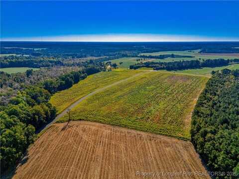 Daniel McLeod Road lot: 21, Red Springs, NC 28377