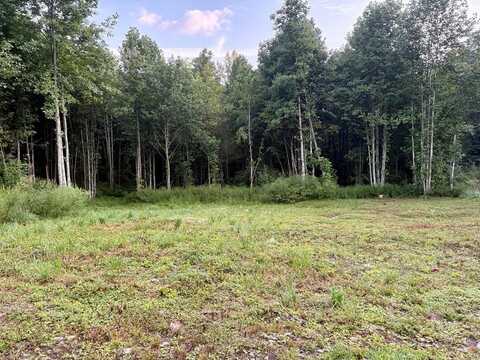 Campbell Creek Road, Robbinsville (Graham), NC 28771