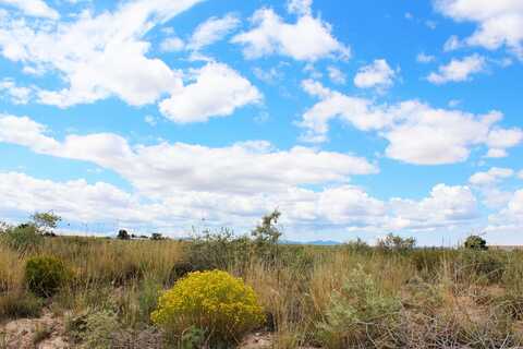 06 Mi Ranchitos Road, Estancia, NM 87016