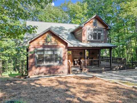 133 Pine Ridge, Ellijay, GA 30540