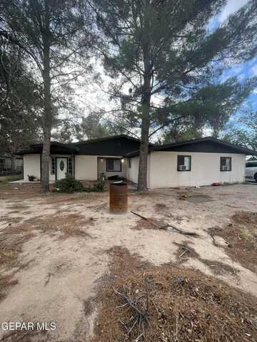12489 Camino De La Rosa unit: #A And #D, San Elizario, TX 79849