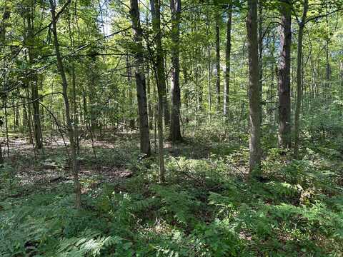 3250 W Isabella Road, Shepherd, MI 48883