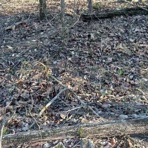 000 Brentwood, Theodosia, MO 65761