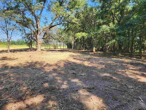 TBD CR 2208, Pittsburg, TX 75686