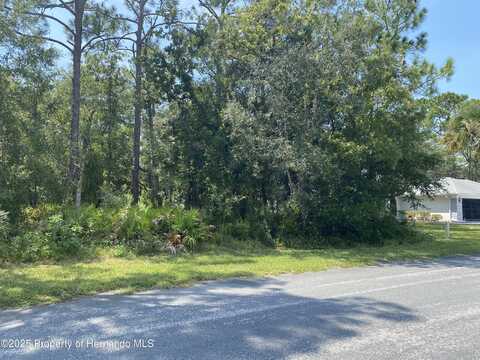 14 Rebecca Court, Homosassa, FL 34446