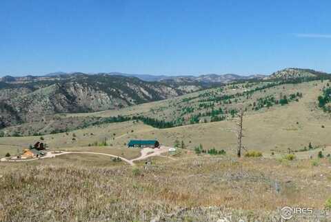 59 Bobcat Mountain Ct, Livermore, CO 80536