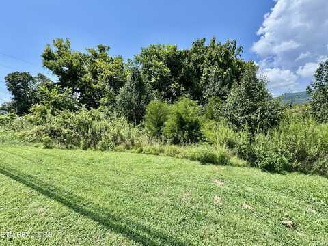 Rutledge Pike, Blaine, TN 37709