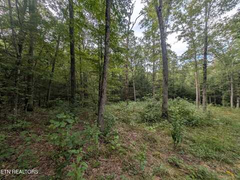 Hollow Creek Lane, Clarkrange, TN 38553