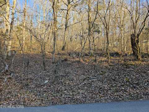 Blue Springs Rd, Speedwell, TN 37870