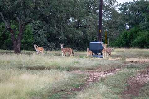 252 El Rincon Road, Mountain Home, TX 78058