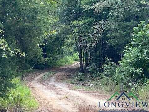 355 CR 3301, Omaha, TX 75571