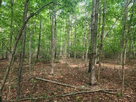 0-Lot 2-1 Red House Road, Appomattox, VA 24522