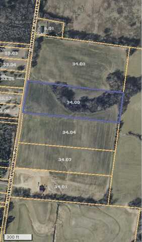 0 MILLSTONE MOUNTAIN, Covington, TN 38019