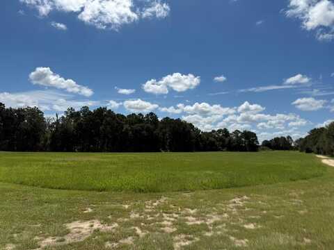 OLD NORMAN PARK RD, Norman Park, GA 31771