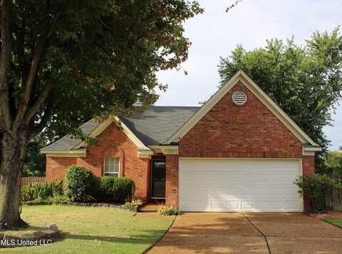 8971 Tahoe Cove, Olive Branch, MS 38654