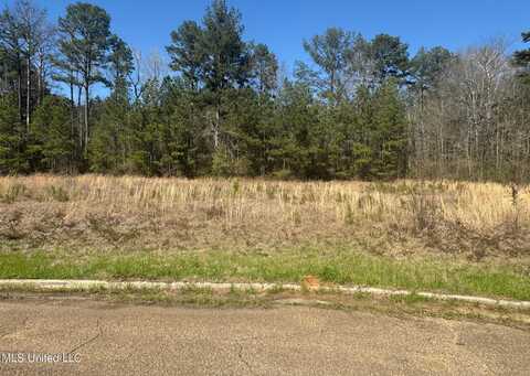 Business Center Drive, McComb, MS 39648