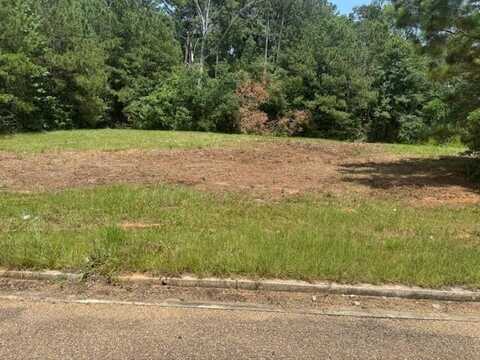 Lot 5 Business Center Drive, McComb, MS 39648