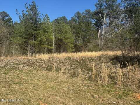 Business Center Drive, McComb, MS 39648