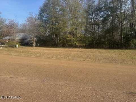 Fairway Drive, Natchez, MS 39120