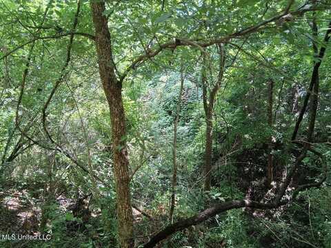 N Azalea Lane, Natchez, MS 39120