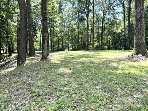 46 Fairway Drive, Natchez, MS 39120
