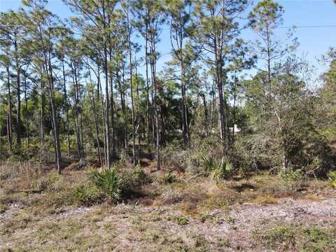 12295 GRAFFITI DRIVE, PUNTA GORDA, FL 33955