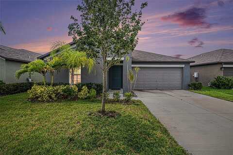 10433 ALDER GREEN DRIVE, RIVERVIEW, FL 33578