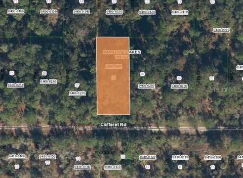 314 CARTERET ROAD, GEORGETOWN, FL 32139