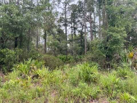 11297 W CORNFLOWER DR, CRYSTAL RIVER, FL 34428