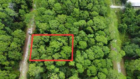 413 DOGWOOD AVENUE, GEORGETOWN, FL 32139
