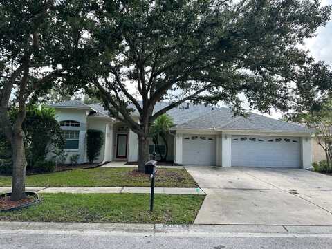 19211 DOVE CREEK DRIVE, TAMPA, FL 33647