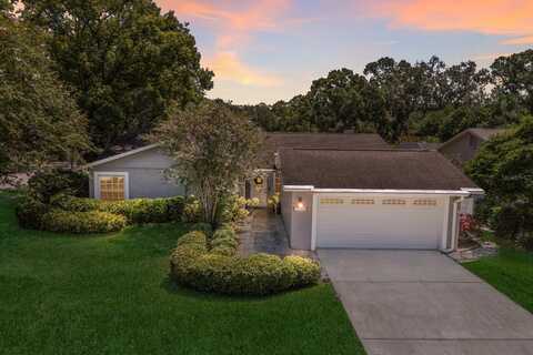 13719 WILKES DRIVE, TAMPA, FL 33618