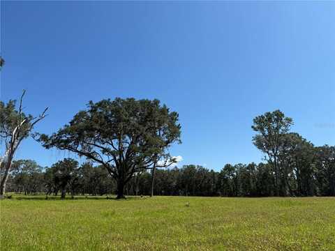 Do #7 (10ac) NW 193RD ST, MICANOPY, FL 32667