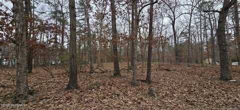 104 Wiseman Road, Jackson, NJ 08527