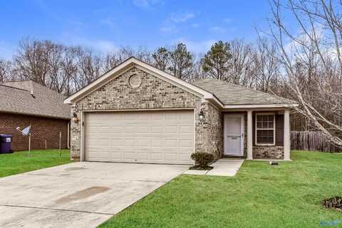 139 Bermuda Lakes Drive, Meridianville, AL 35759