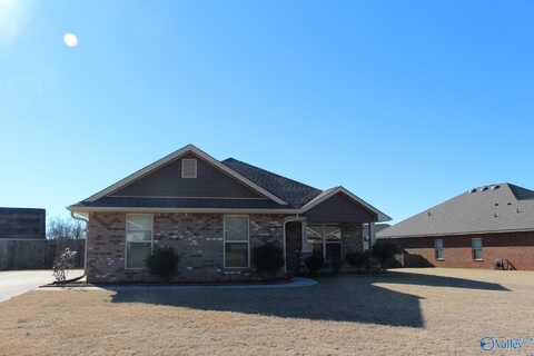 14560 Water Stream Drive, Harvest, AL 35749