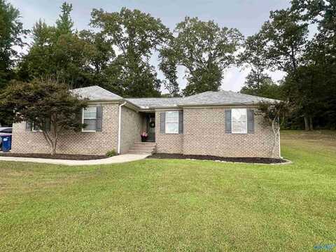 125 John Johnson Road, Trinity, AL 35673
