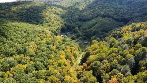 286 Hidden Hollow Farm Drive, Austin, PA 16720