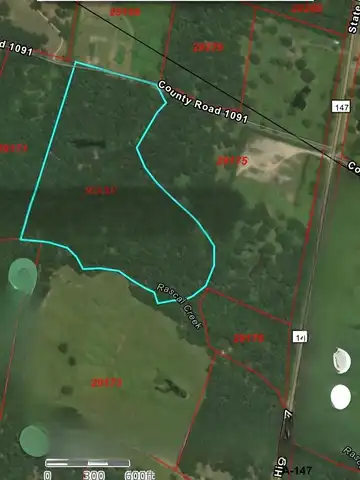 155 CR 1091, Center, TX 75935