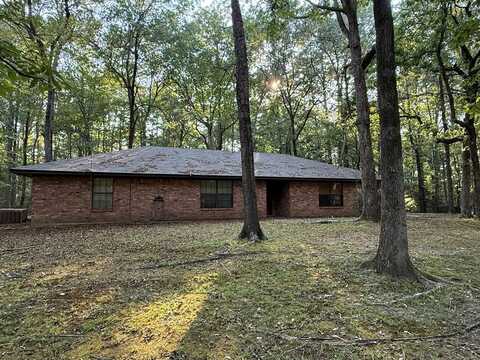 552 FM 2427, Shelbyville, TX 75973