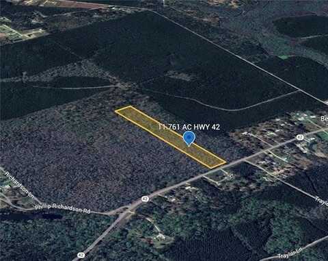 11.761 AC LA 42 Highway, Springfield, LA 70462