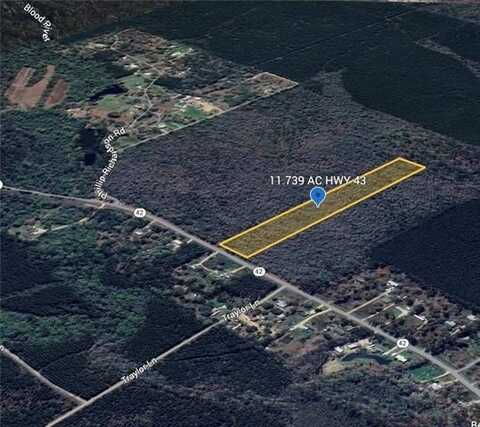 11.739 AC LA 42 Highway, Springfield, LA 70462