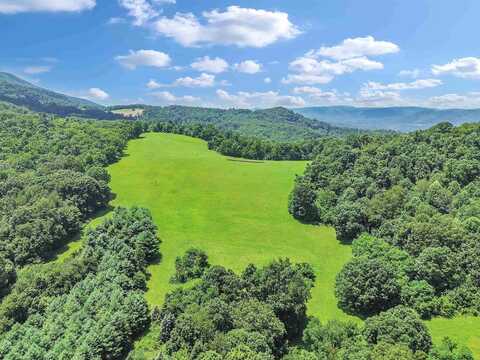 250 E ROBERTSON MOUNTAIN Road, Narrows, VA 24124