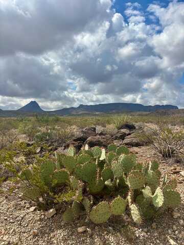 8358 Goat Trail, Terlingua, TX 79852