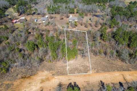 Lot 6 Piney Lane, Pittsburg, TX 75686
