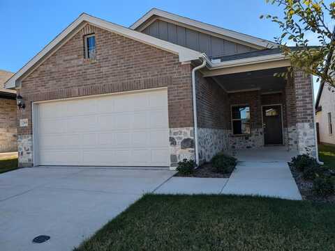 205 Travine Drive, Princeton, TX 75071