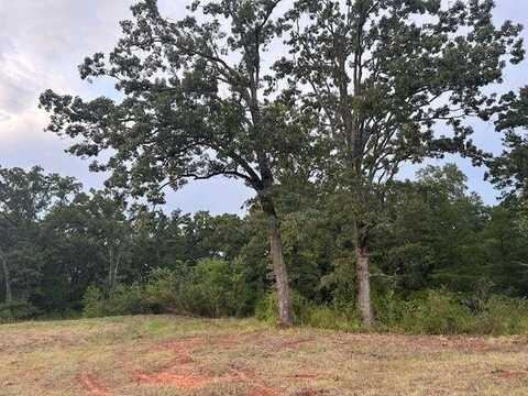 Tbd W HWY 80, Mineola, TX 75773