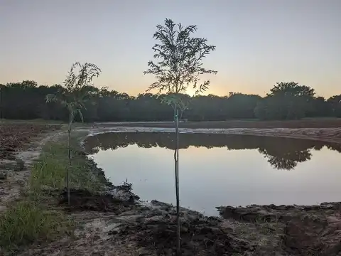 268 Private Road 3427, Bridgeport, TX 76073