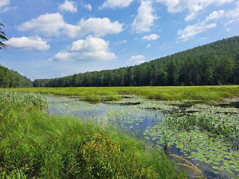 State Route 28, Warrensburg, NY 12885