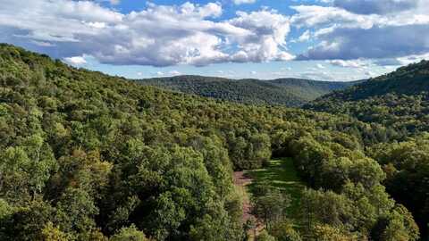 216 Neer Rd, Long Eddy, NY 12760